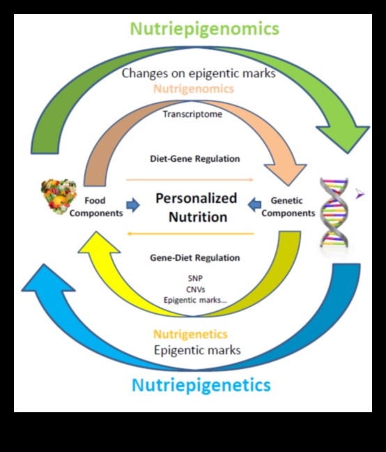 Sağlık İçin DNA'nın Kodunu Çözmek: Nutrigenomik Bir Yaklaşım