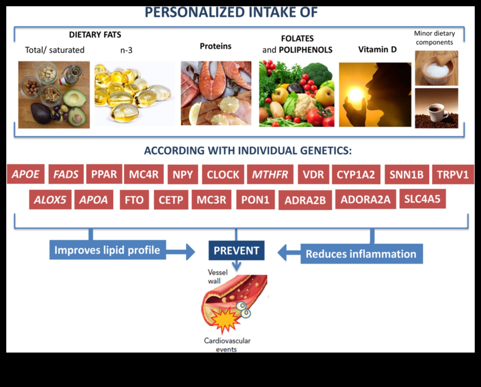 Sağlık İçin DNA'nın Kodunu Çözmek: Nutrigenomik Bir Yaklaşım